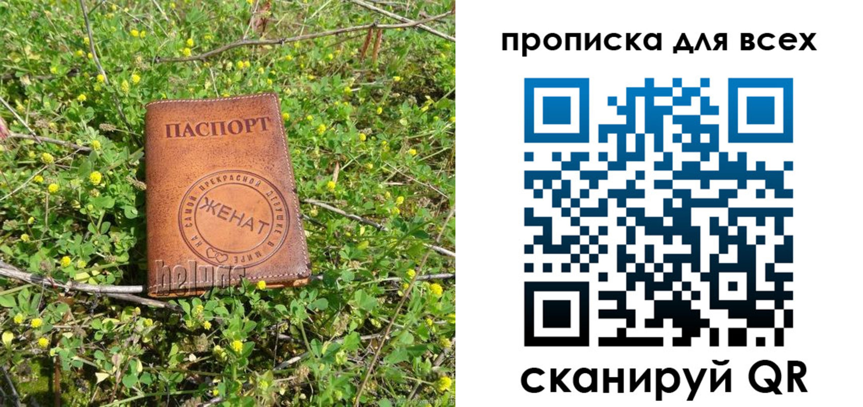 прописка поиск в Новопавловске